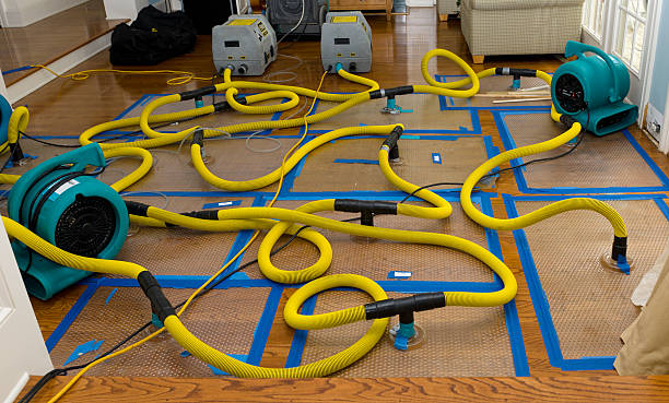 Professional Crawl Space Water Removal technician working in Commack, NY